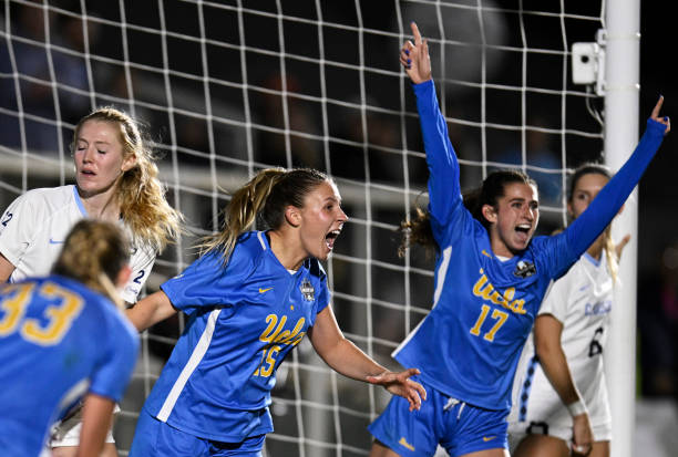 任何风吹草 任何风吹草